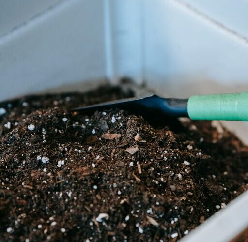 Beginner Tips for Composting at Home: A Simple Guide to Start