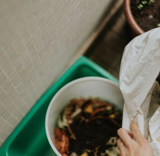 Practical Ways to Reduce Food Waste at Home